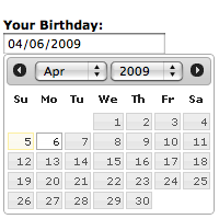 date picker widget